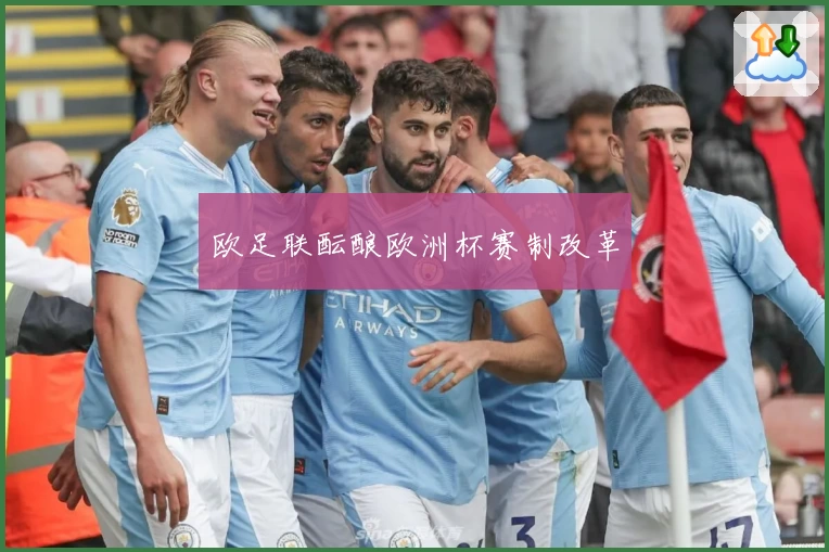 欧足联酝酿欧洲杯赛制改革