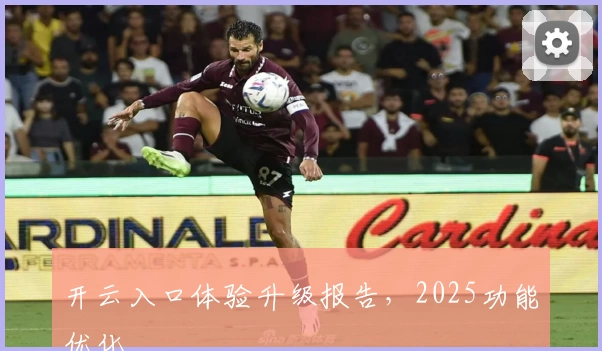 开云入口体验升级报告，2025功能优化