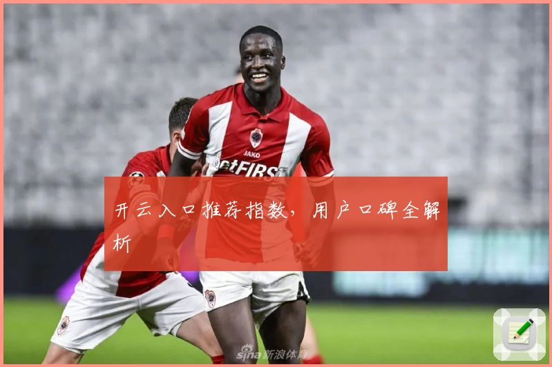 开云入口推荐指数，用户口碑全解析
