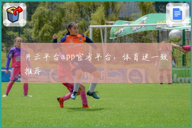 开云平台app官方平台，体育迷一致推荐