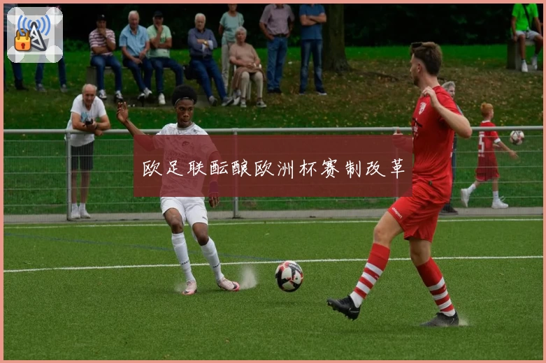 欧足联酝酿欧洲杯赛制改革