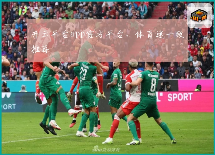开云平台app官方平台，体育迷一致推荐